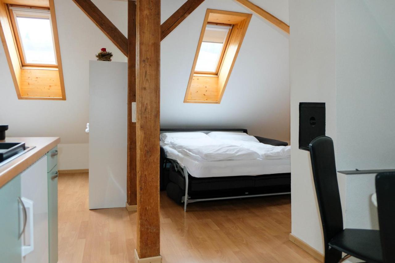 Spatzennest Шпиц Экстерьер фото